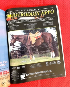 1996 QUARTER HORSE JOURNAL  AQHA Book - ARTFUL MOVE - TEMON - TRIPLES - CLUITION - Picture 1 of 22