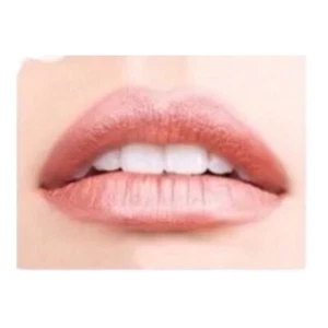 Jouer Long Wear Lip Creme Liquid Lipstick - Praline - 0.21oz Boxed - Picture 1 of 5