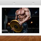Gym Life Fitness Abs Body Builder 3D Mural Decal Wall Sticker Poster Vinyl S284
