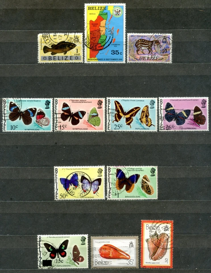 Belize 12 Stamp Selection 1973-1980 Butterflies Sea Shells  Used - Image 1 of 1