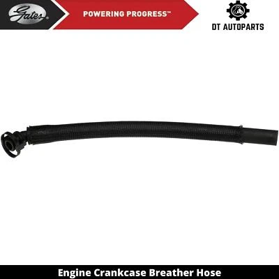 Puertas de manguera respirador cárter motor BMW 323Ci 2000 Foto 1 de 3