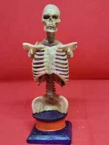 Skeleton Bust - Picture 1 of 3