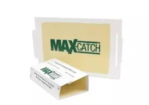 Catchmaster 72Max Glue Board Mouse Insects Trap 36 Count AP&G - Picture 1 of 1