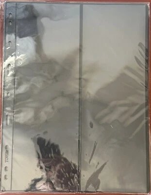 10 hojas con 9 agujeros de carpeta doble cara álbum de sellos páginas de stock (2 bolsillos) #B2 Foto 1 de 2