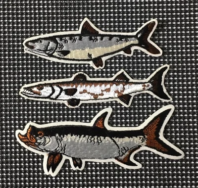 Parches bordados de sábalo barracuda pesca pescador pescado vintage Foto 1 de 2