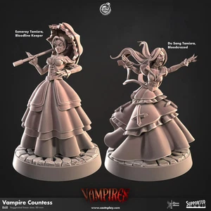 32 mm, 28 mm, condesa vampiro, ¡vampiros!, miniaturas CastnPlay, juegos de rol - Imagen 1 de 4