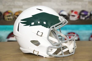 Philadelphia Eagles Riddell Speed Display Helmet - 1969-1973 Throwback - Picture 1 of 5