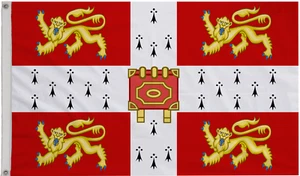 Cambridge University Polyester 5'x3' Flag - Foto 1 di 4