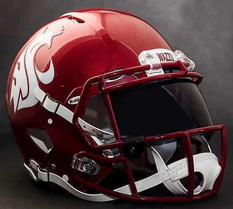*CUSTOM* WASHINGTON STATE COUGARS NCAA Riddell Speed AUTHENTIC Football Helmet Cover