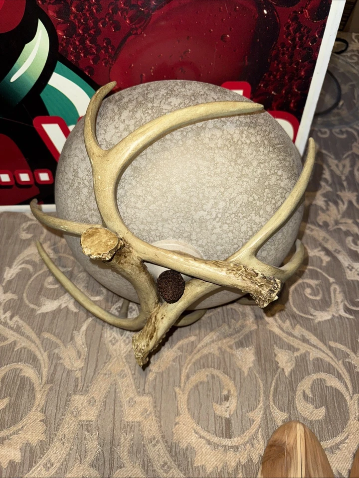 Lodge 2 luces montaje semi-al ras en estilo rústico y asta 9 pulgadas de alto y 12 Foto 1 de 4