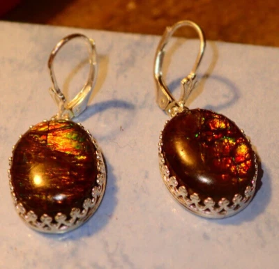 Ultimate Solid Ammonite Leverback Earrings in Sterling Silver - Image 1 of 4