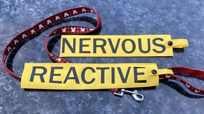 DAPPER DOGS & CO HIGHLY VISIBLE DOG LEAD SLEEVE NERVOUS REACTIVE OR ANY TEXT GREEN YELLOW BLUE