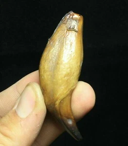 6CM Collect Old China Bone Carve Exorcism Spike wolf's fang Tooth Amulet Pendant - Picture 1 of 5