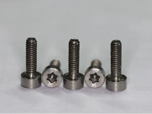 5 x Titan Schrauben / Titanium screws Grade 5 DIN 912 M2,5 x 8 mm Torx - Picture 1 of 1