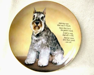 Miniature Schnauzer Dog Plate Called Adoring Eyes 20cm Diameter Danbury Mint - Imagen 1 de 3