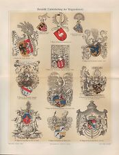 Chromo-Lithografie 1906: Heraldik (Entwicklung der Wappenkunst). Wappen Kunst