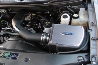 Ford F-150 2004-2008 11ª generación 5,4 L V8 volantes toma de aire frío con cuchara 398541 Foto 1 de 4