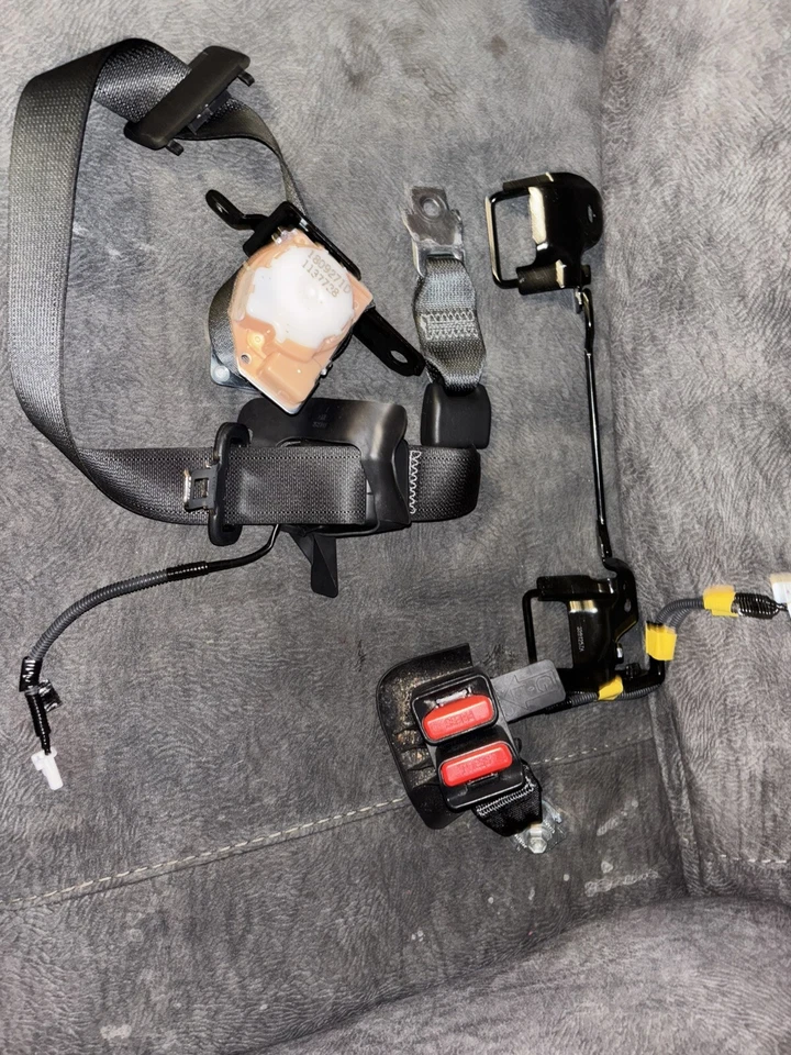 Cinturones de seguridad Toyota Camry 2019 SE  Foto 1 de 1