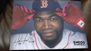 David Ortiz BIG PAPI Gnome Statue and Canvas Lot SGA RED SOX - Picture 1 of 2