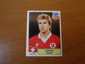 FIGURINA CALCIATORI PANINI USA '94 WORLD CUP - HELVETIA - N. 47 - Imagen 1 de 1