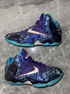 SIZE 6.5 - PRE OWNED NIKE LEBRON 11 “HORNETS” 2014 RELEASE PURPLE BLUE RED - Picture 1 of 6