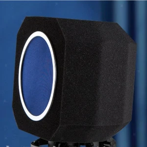 Pop Filter für Mikrofon Studio Zubehör tragbar für Studioaufnahme - Bild 1 von 7