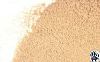 Wild Yam Root - cut and powdered  2 oz, 4 oz - Image 1 of 2