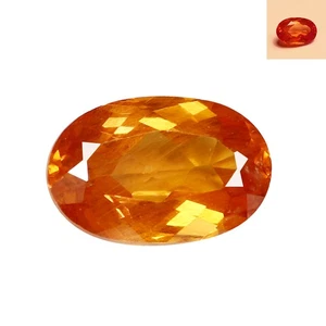 0.97 Ct IF Oval 6.9 x 4.5 MM Color Changing Garnet - Bild 1 von 5