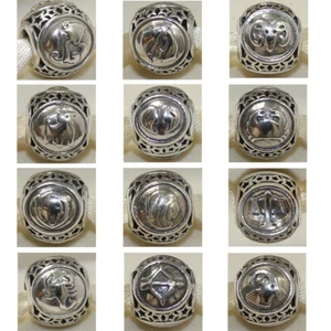 New Authentic Pandora Charm 12 Sign Horoscope Zodiac Birthday W Tag & Suede Pouc - Picture 1 of 35