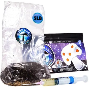 All-In-One Mushroom Grow Kit Bag | Complete Cultivation Kit with Live Culture... - Picture 1 of 7