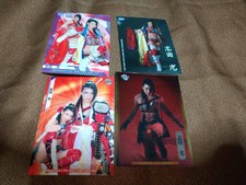 Hikaru Shida Bbm Women'S Pro Wrestling Card Set Of 9 Types