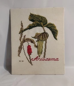 Vintage 1984 Arisaema Nadelspitze Stickerei Jack-in-the-Pulpit 8X10 ungerahmt - Bild 1 von 5