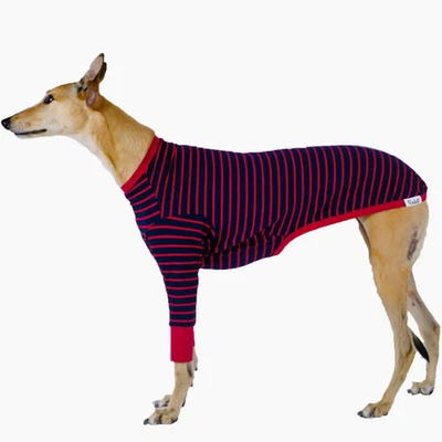 Keiko Dogs 'Blaze Runner' medium greyhound large dog jumper sweater - RRP $49.99 - Image 1 of 4