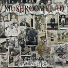 Mushroomhead A Wonderful Life (Vinyl) 12" Album