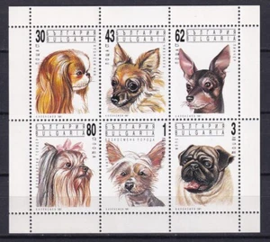 Bulgaria 1991 Animali, Animali, Cani MNH Foglio - Foto 1 di 1