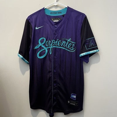 Camiseta deportiva Arizona Diamondbacks Randy Johnson Nike púrpura 2025 City Connect mediana Foto 1 de 4