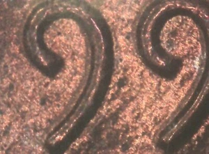 1990P Doubled Die Obverse Lincoln Cent - Picture 1 of 15