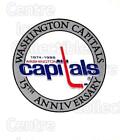 1988-89 Washington Capitals Kodak #25 Team Logo