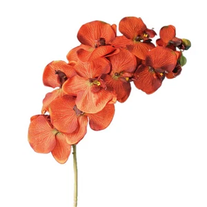 4 Bunch Latex Real Touch Artificial White Butterfly Orchids Flower For Home - Picture 1 of 68