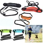 Adjustable Reflective Leash with Waist Bag  for Running Walking