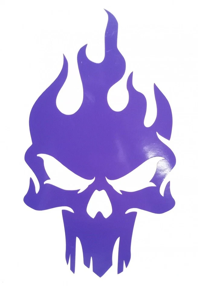 Calcomanía de vinilo calavera llameante coche camión computadora portátil llamas en calavera pegatina calavera llamas Foto 1 de 1