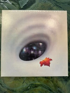 Robin Trower Long Misty Days PV 41107 1976 Vinyl Schallplatte - Bild 1 von 5