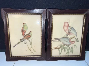 Vintage Set Of TWO (2) Framed J Gould Lithograph Birds 8.5 x 6.25 - Picture 1 of 6