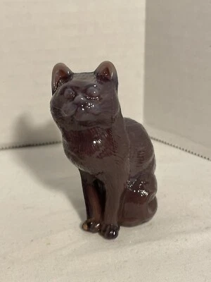 Eggplant Glossy Mosser Sitting Cat