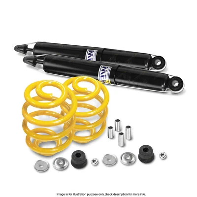 Rear Shock Absorbers Super Low King Springs for HOLDEN HQ HJ HX HZ - image 1 of 2
