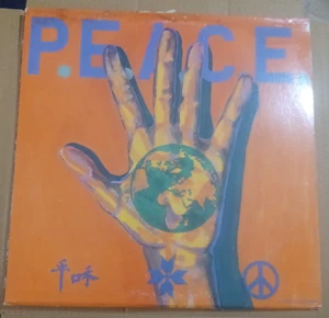 1984 P.E.A.C.E International Punk Compilation Vinyl, 2X LP, R. Radical - Picture 1 of 13