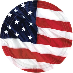 American Flag Flying Color Star Stripe Round Dessert Plate and Napkin Party Pack - Picture 1 of 2