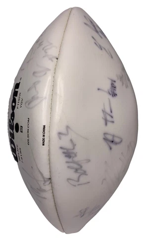 Signed Wilson White Panel NFL Football Paul Tagliabue Unknown Found In Michigan Cover