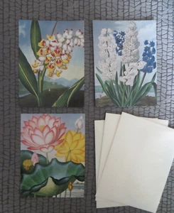 3 Floral Notecards w/envelopes Blank Robert John Thornton Temple of Flora - Picture 1 of 9