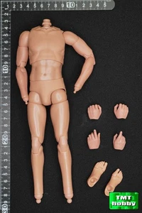 1:6 Scale DID V80184 Vietnam War U.S. Army Colonel James - Body (NO HEAD) - Picture 1 of 2
